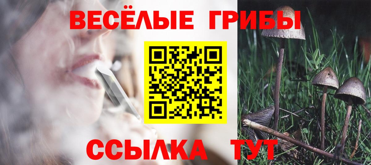 Галлюциногенные грибы GOLDEN TEACHER Нижневартовск